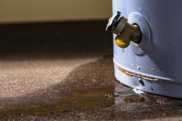 Best Residential water damage restoration  in Cheshire Village, CT