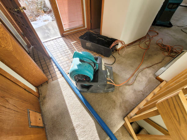 Best Local water damage restoration  in Cheshire Village, CT