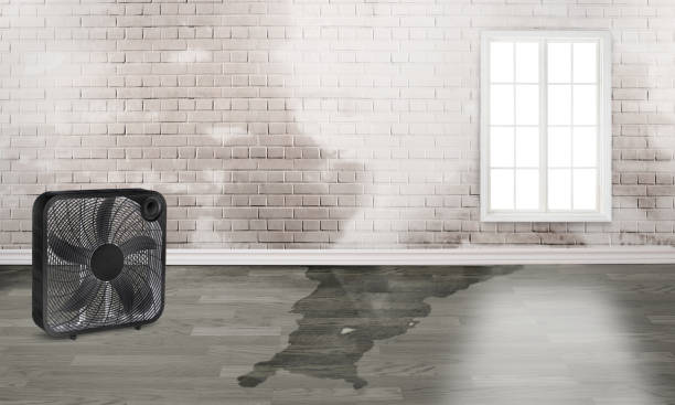 Best Fire Damage Restoration  in Cheshire Village, CT