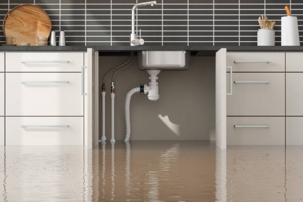 Best Flooded house restoration  in Cheshire Village, CT